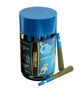 blue razz muha